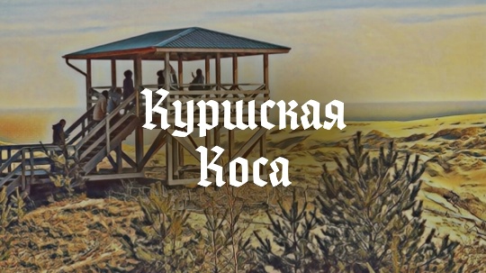 История Куршской косы