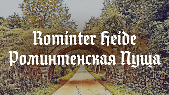 Rominter Heide — Роминтенская пуща